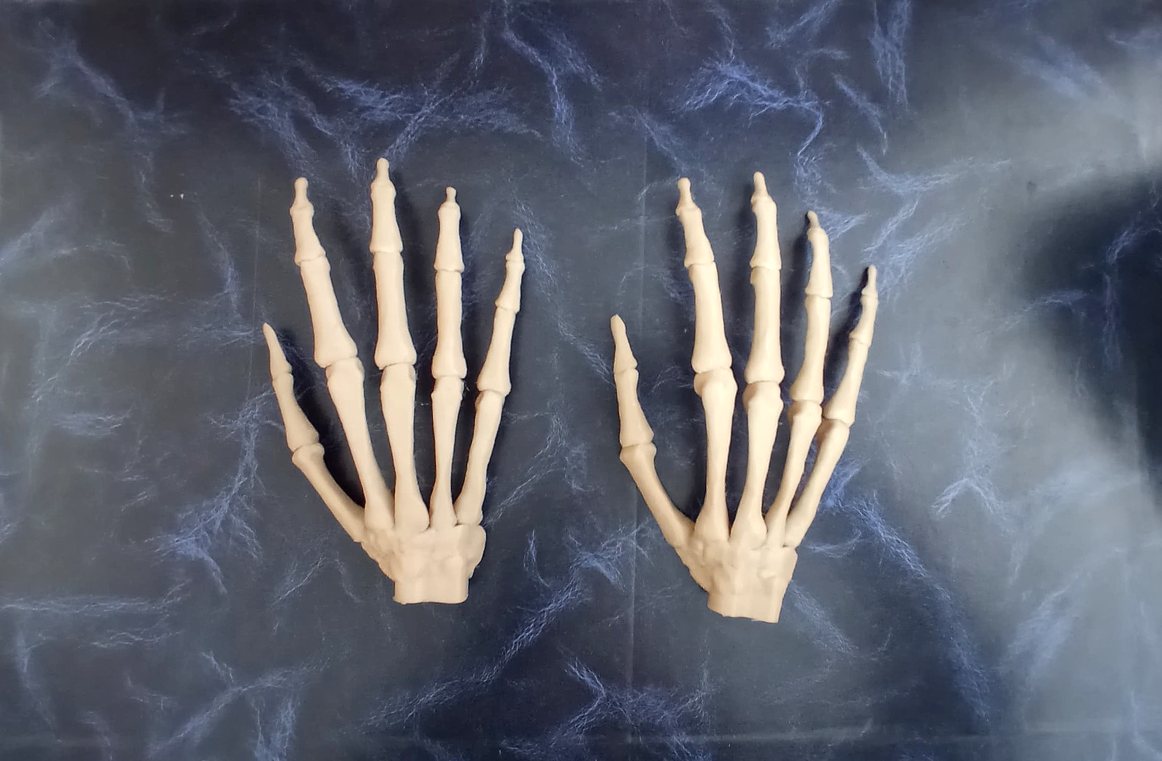 modelo anatómico de mano