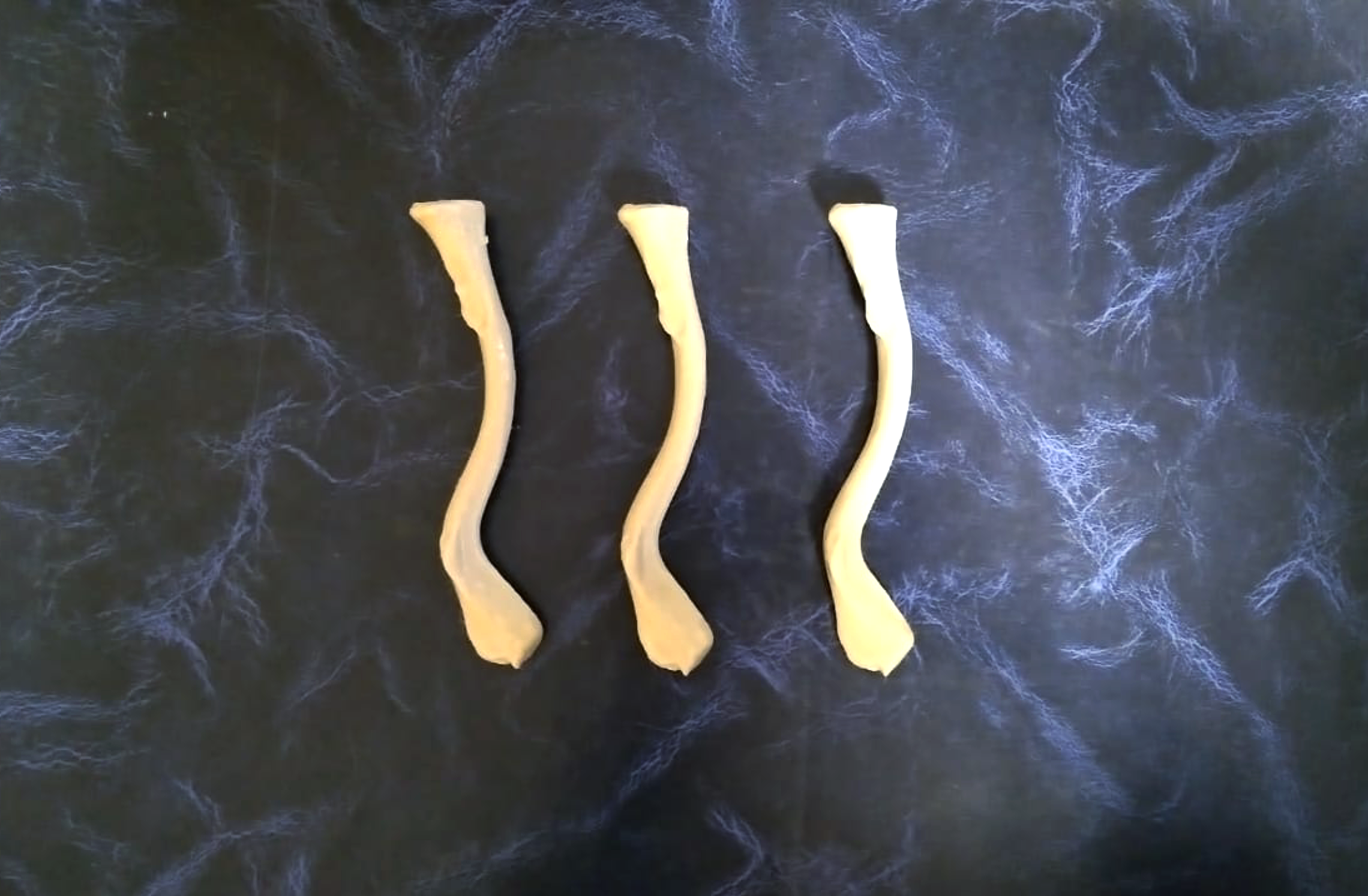 modelo anatómico de clavícula
