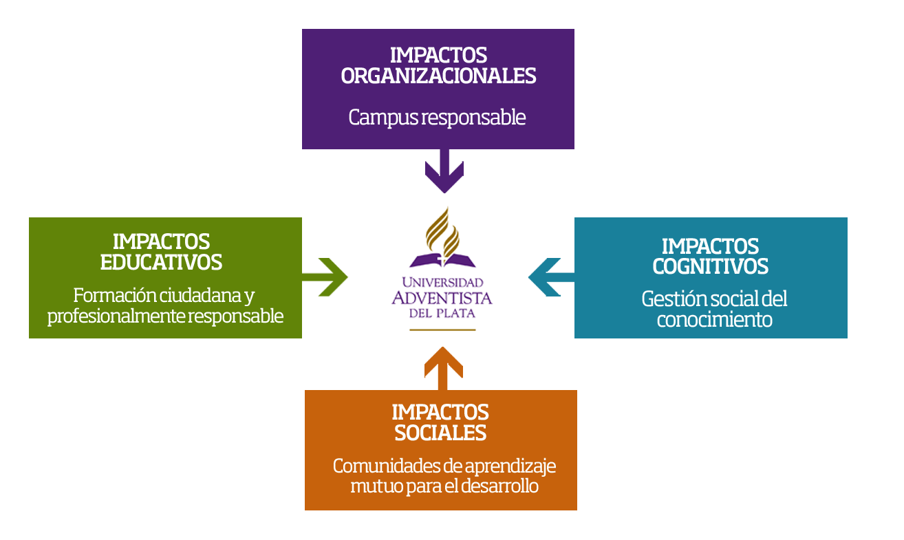 Ejemplo De Un Impacto De Un Proyecto